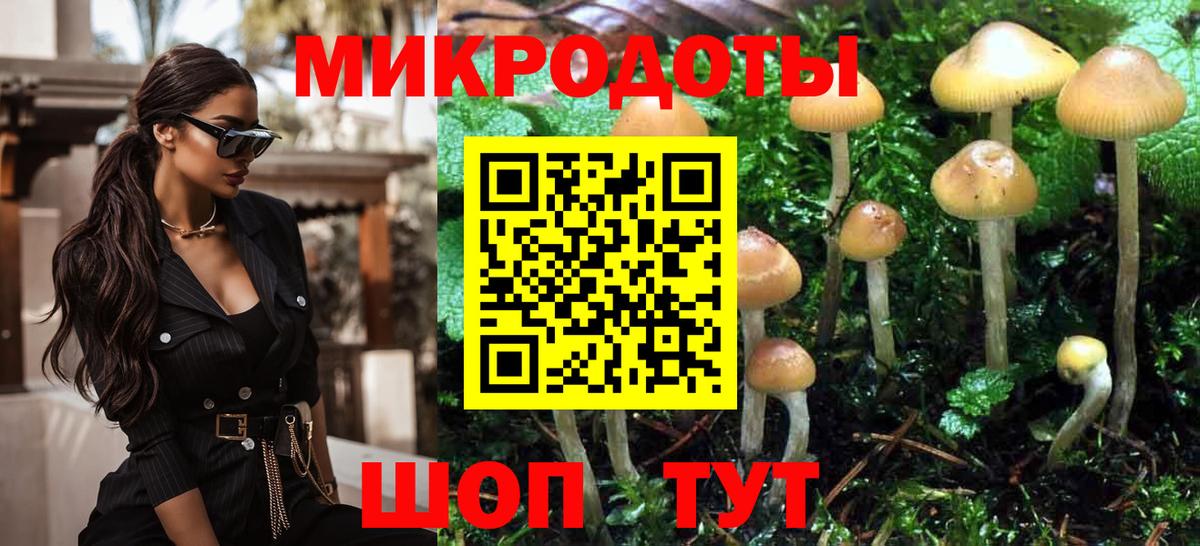 Галлюциногенные грибы Psilocybe Коркино