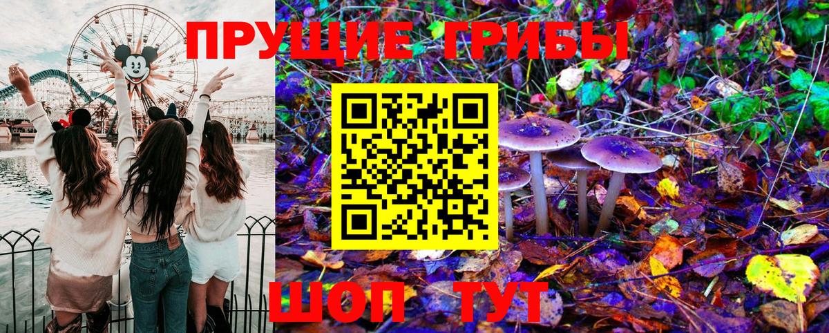 Коркино  Псилоцибиновые грибы MAGIC MUSHROOMS  закладка  Вход с VPN  Галлюциногенные грибы ЛСД 