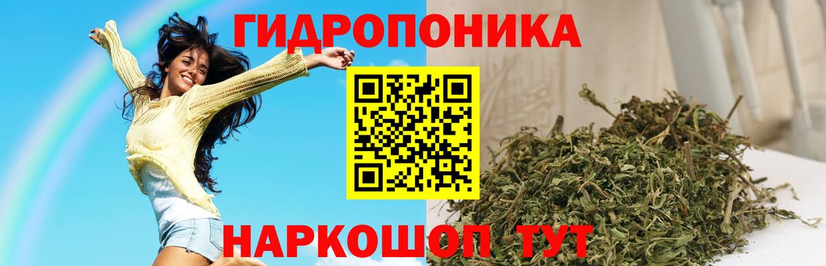 Коркино  Канабис план  Канабис индика  Вход с VPN  Шишки марихуана сатива  Каннабис SATIVA & INDICA 